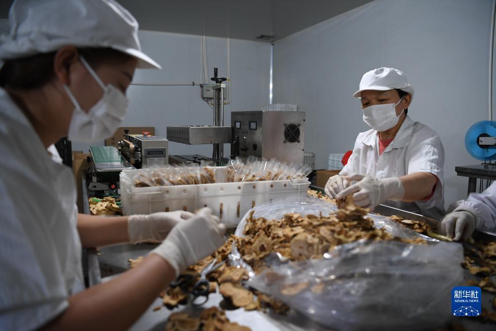 bv伟德下载